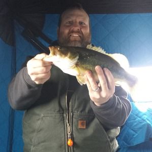 Meet your Posher, Jerry